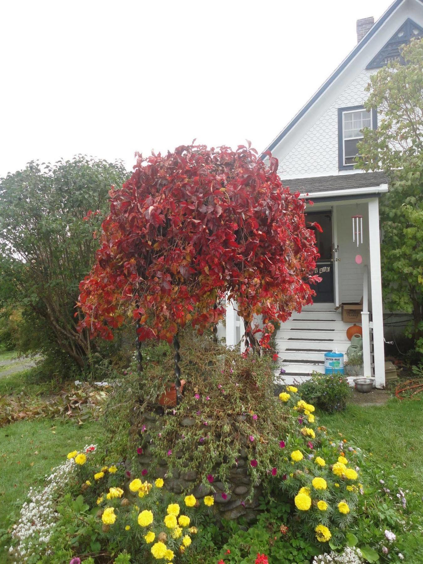 Hedley House Inn Smiths Cove Bagian luar foto